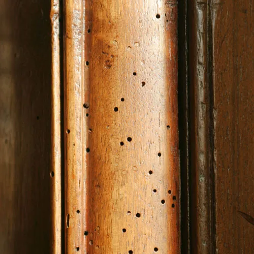 Rotted wood replacement